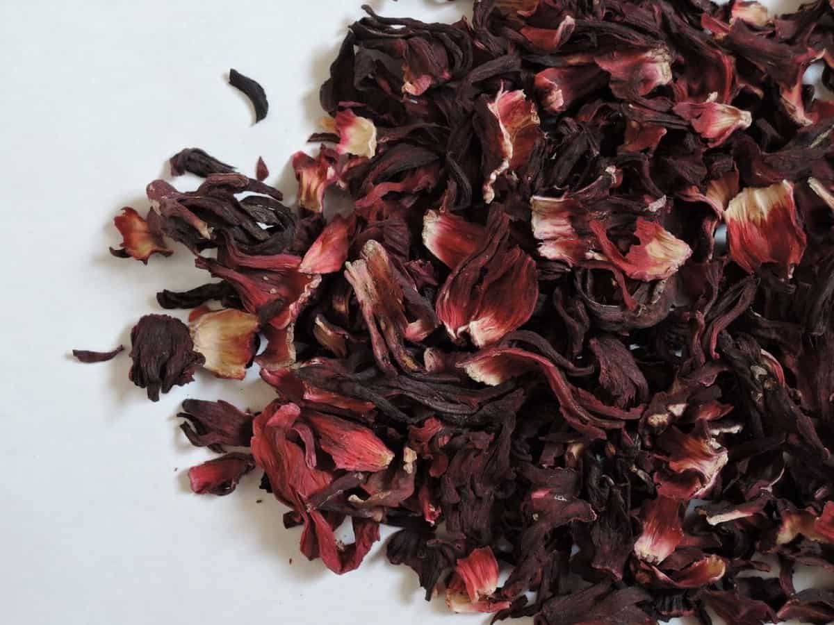 Can I Drink Hibiscus Water While Pregnant?