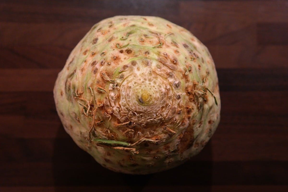 Can I Drink Celery Juice During Pregnancy? Is It Safe? Pregnancy Food