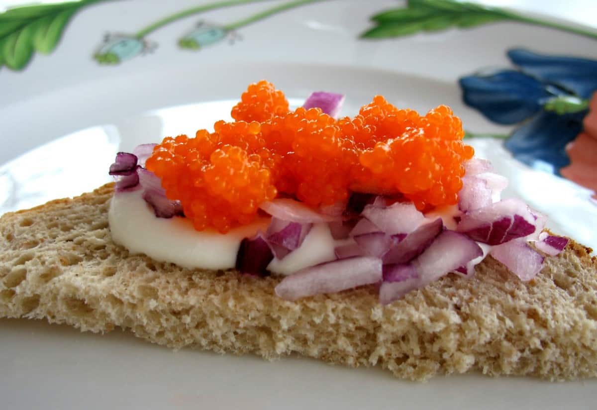 Can Pregnant Women Eat Trout? Is It a Safe Fish? Pregnancy Food Checker