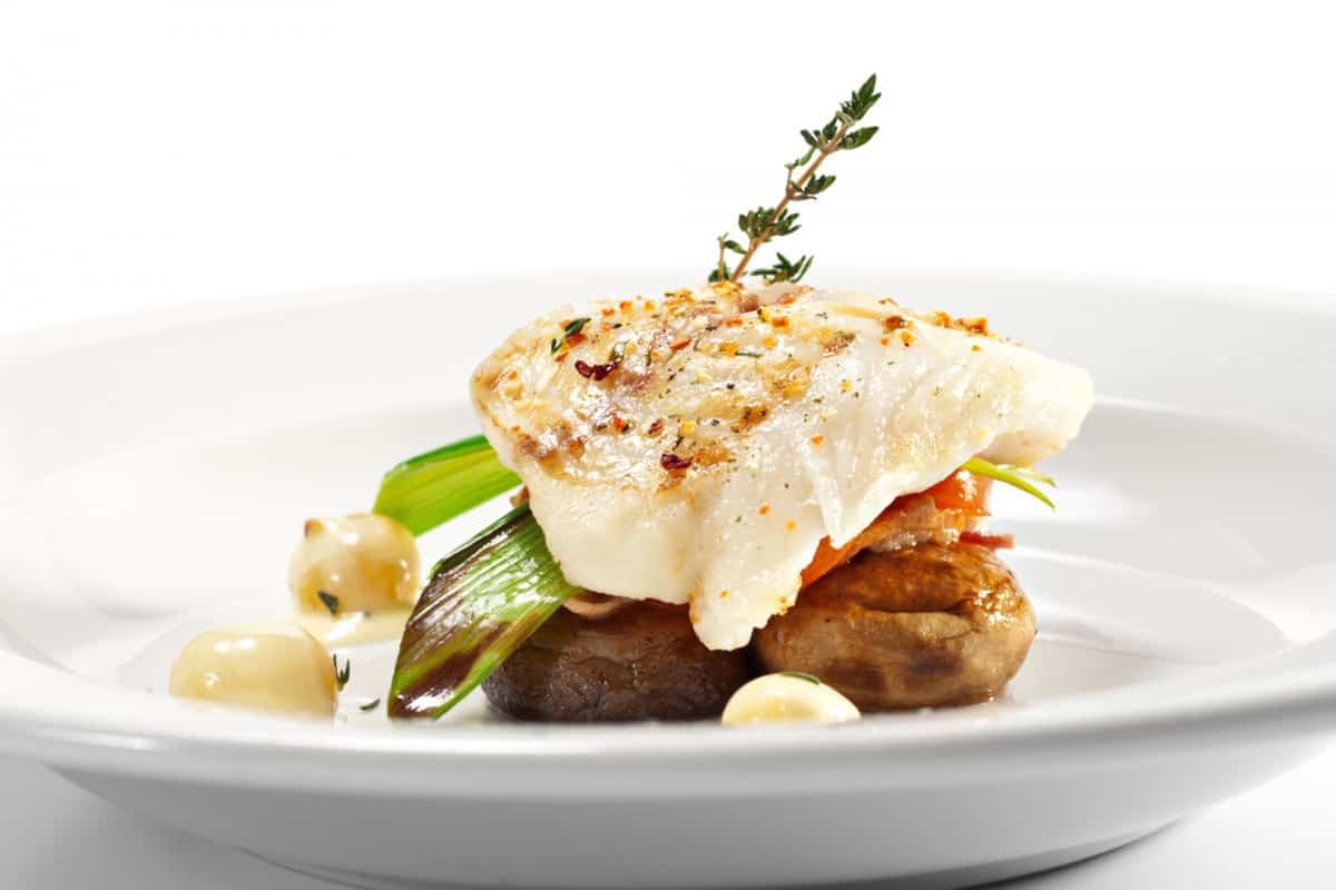 can-pregnant-women-eat-halibut-is-it-a-safe-fish-pregnancy-food-checker