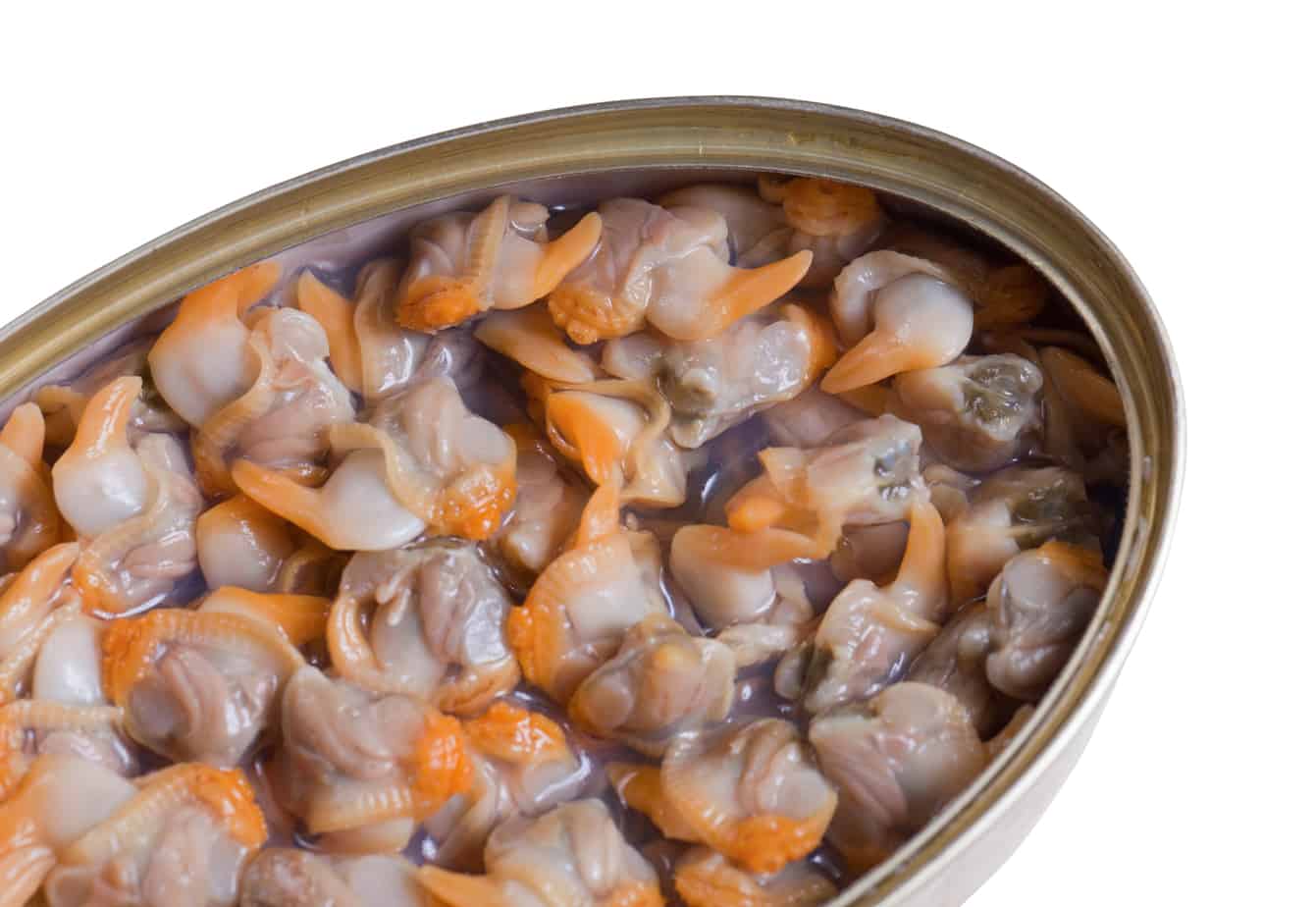 25 Top IronRich Foods For Pregnancy (Including Vegetarian) Pregnancy