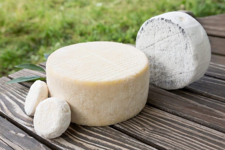 Is Goat Cheese Safe During Pregnancy? Is Pasteurized Better