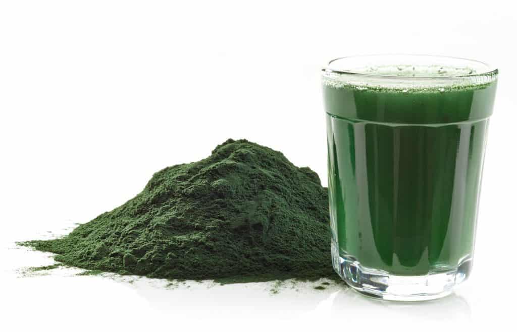 spirulina powder