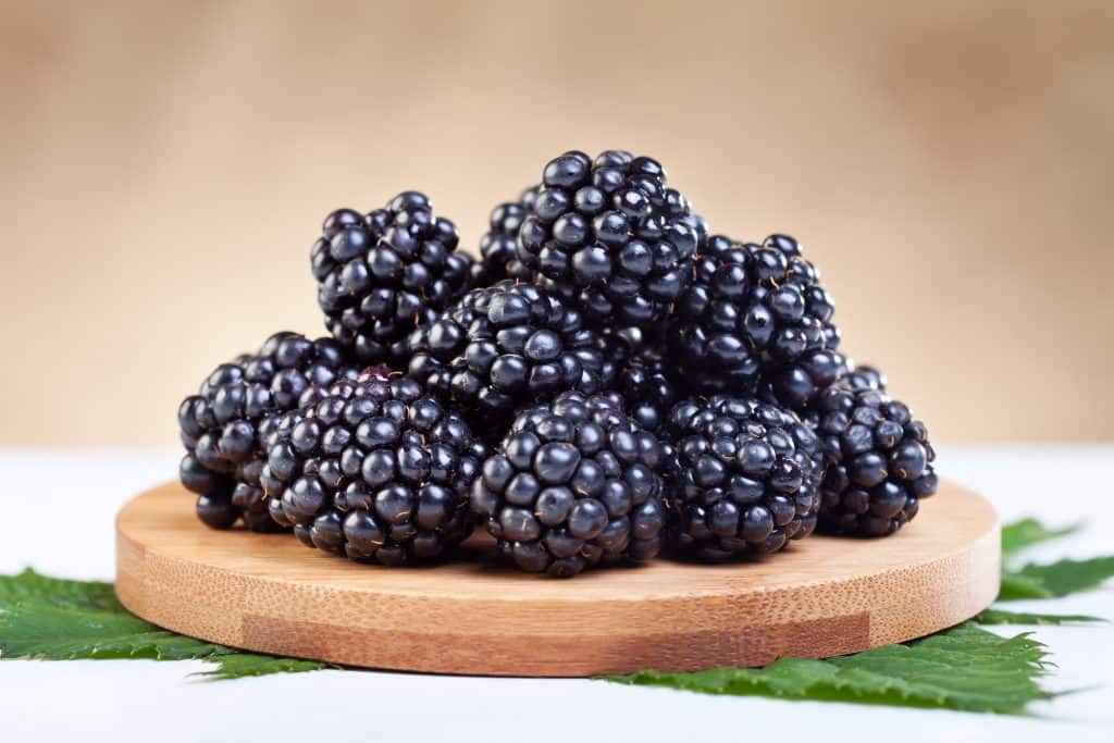 pile of fresh blackberries