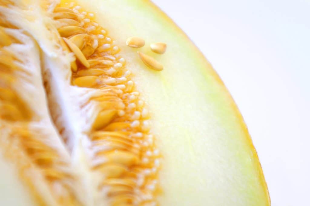 cantaloupe seeds