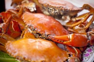 Can Pregnant Women Eat Crab and Imitation Crab? Is It Safe? - Pregnancy