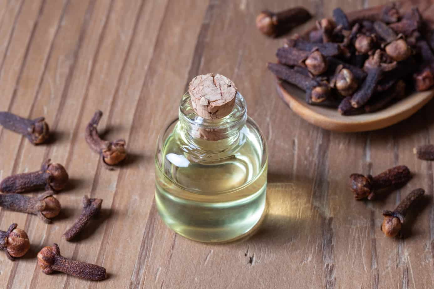 Can I Use Clove Oil For Toothache While Pregnant? 