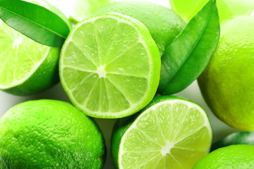 sliced fresh limes closeup