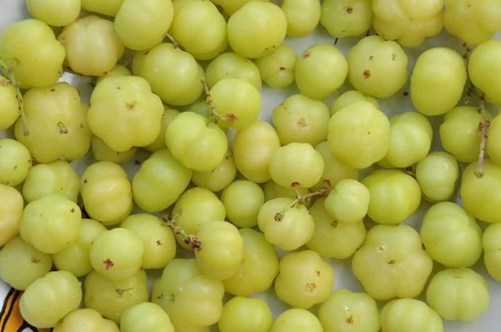 pile of star gooseberries